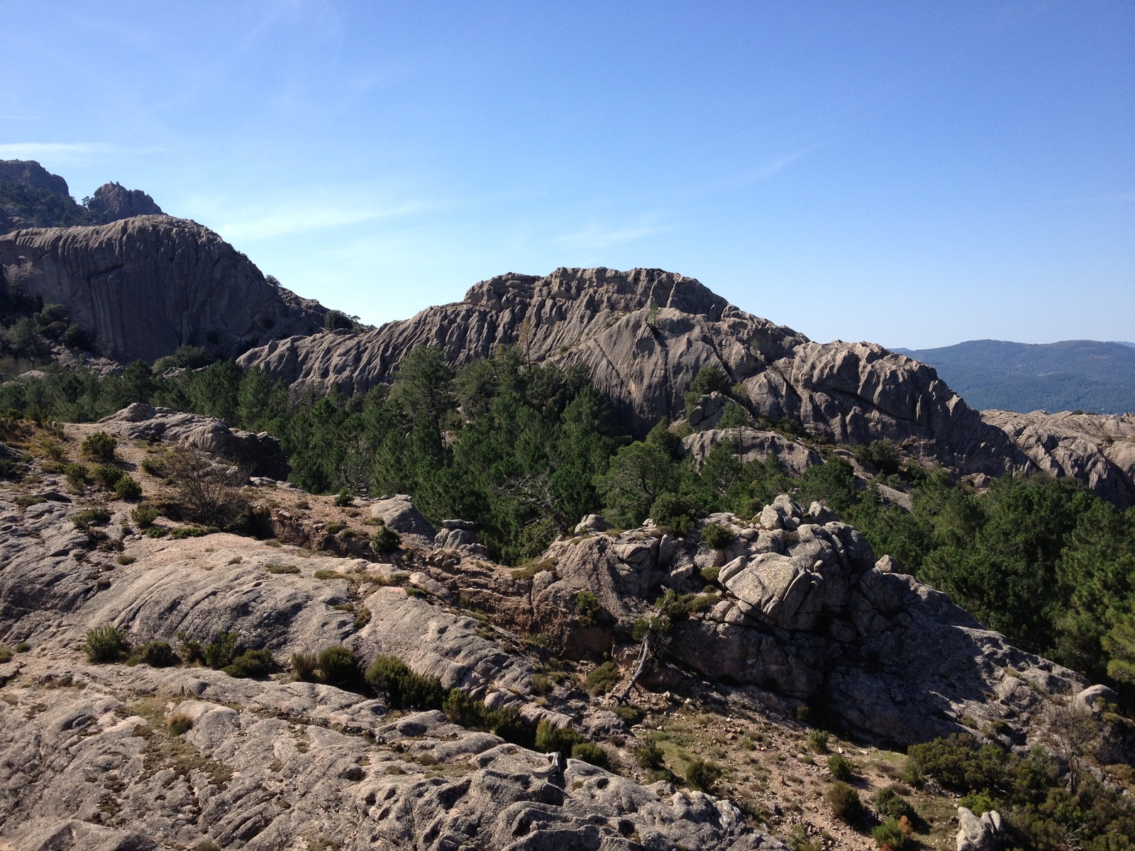รูปถ่าย ฝรั่งเศส(France) คอร์สิคา(Corsica) ป่าลอสเปดาเล(L'ospedale Forest) 2012-09 56