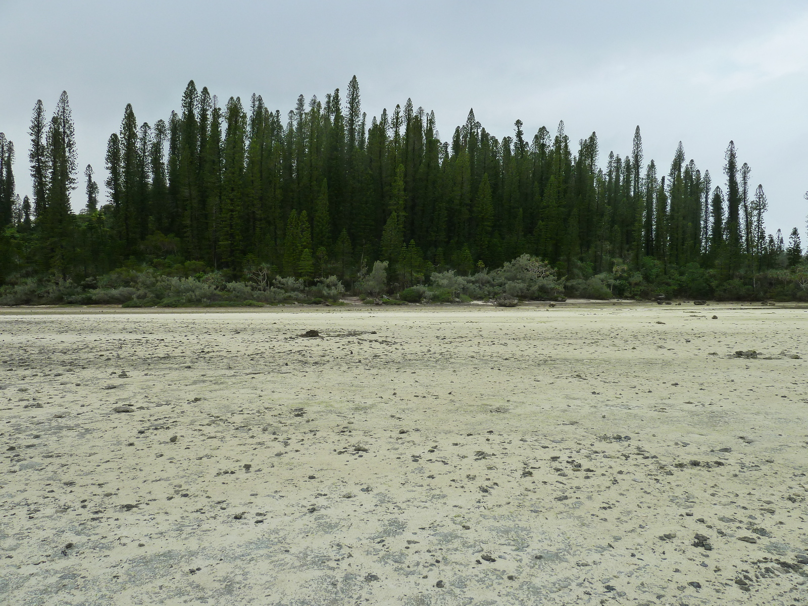 รูปถ่าย นิวแคลิโดเนีย(New Caledonia) เกาะต้นสน(Ile des pins) อ่าวโอโร(Oro Bay) 2010-05 70