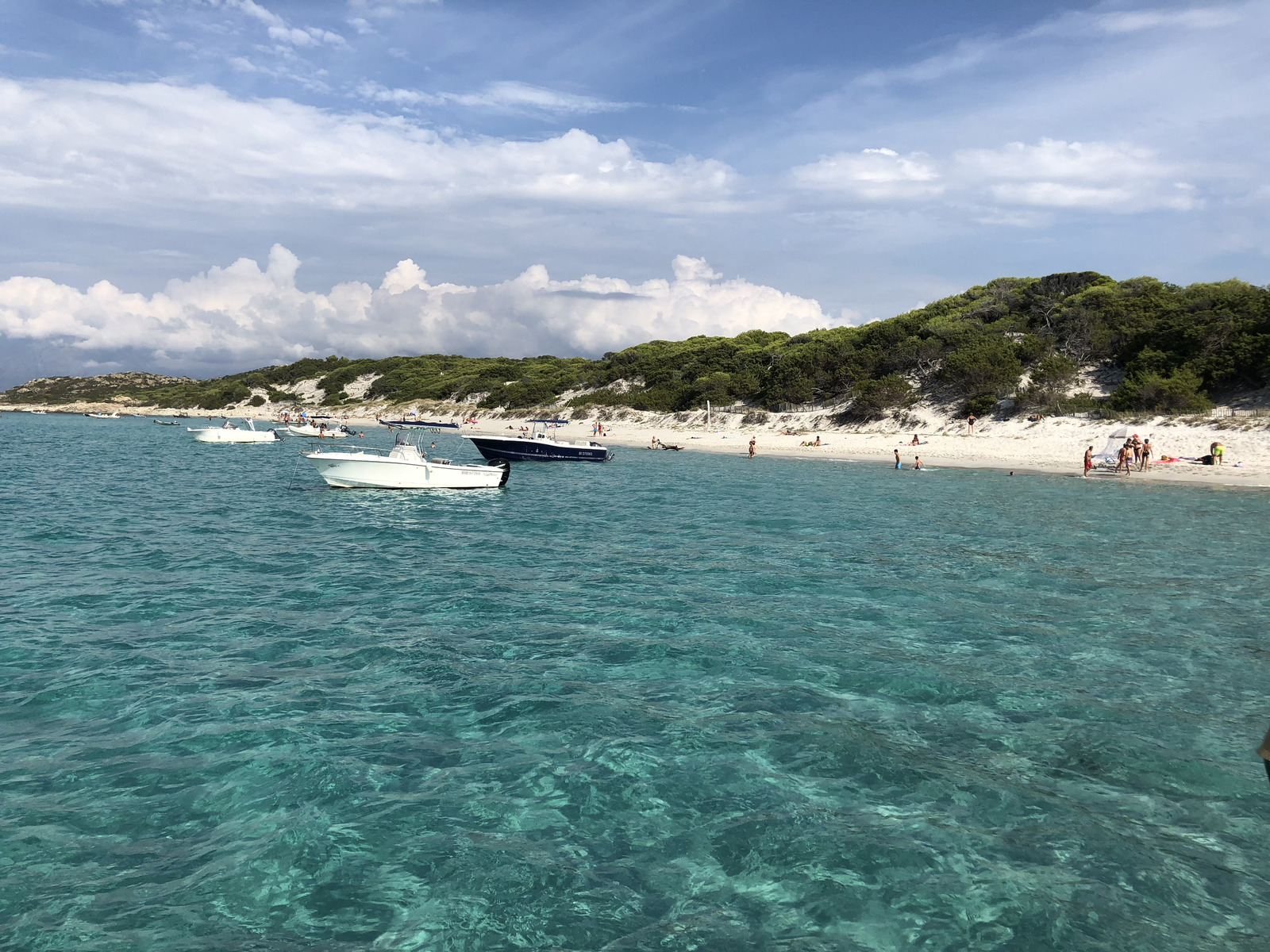 รูปถ่าย ฝรั่งเศส(France) คอร์สิคา(Corsica) หาดซาเลชชา(Saleccia Beach) 2018-09 0