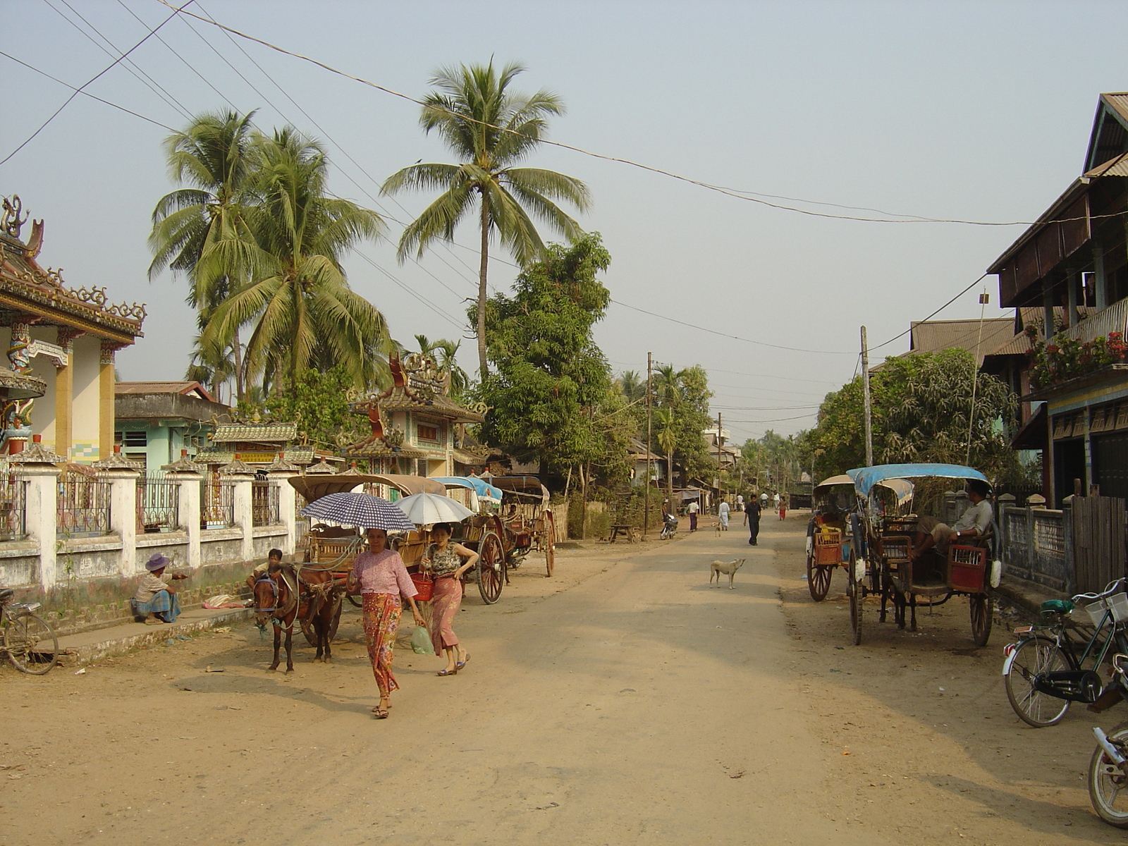 รูปถ่าย พม่า(Myanmar) ทวาย(Dawei (TAVOY)) 2005-01 66