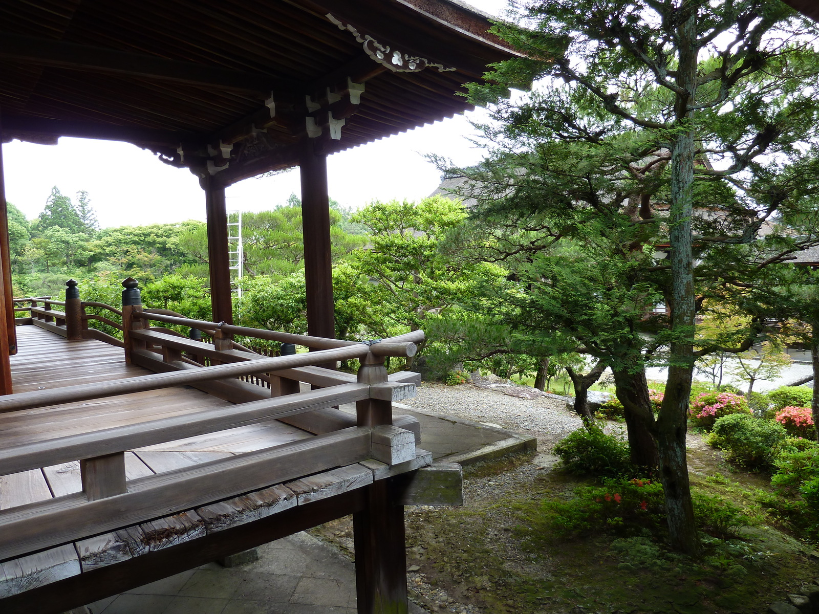 รูปถ่าย ญี่ปุ่น(Japan) เกียวโต(Kyoto) ตำหนักหลวงวัดนินนะจิ(Ninna ji imperial Residence) 2010-06 89