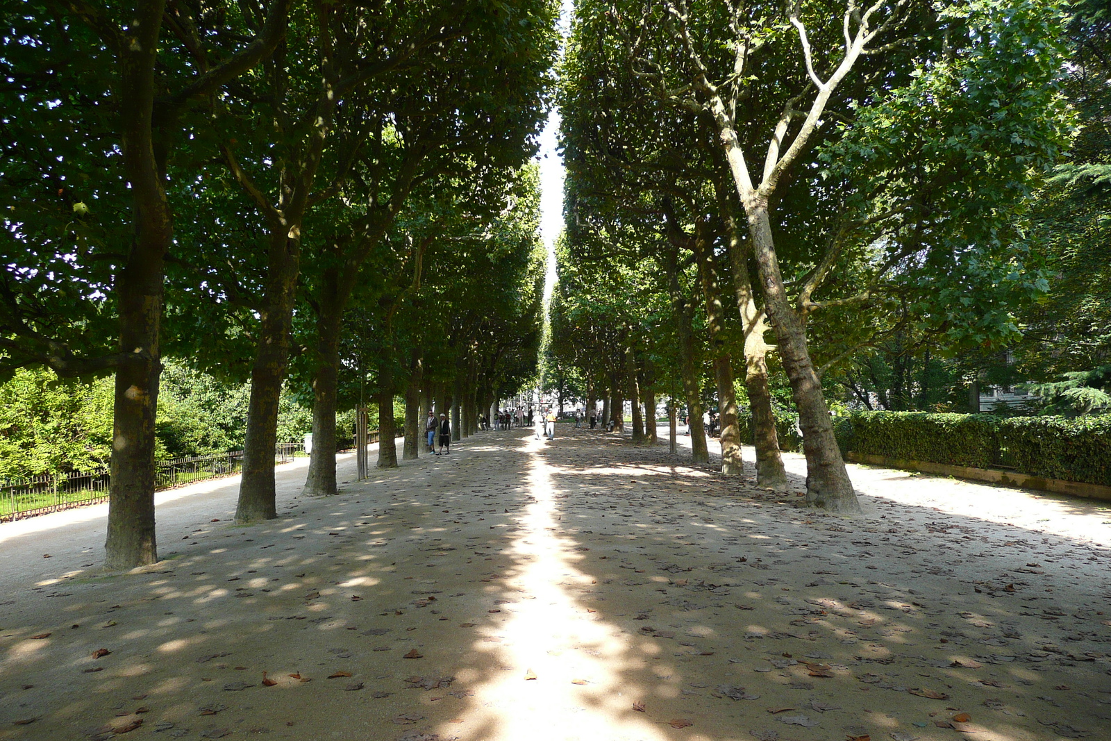 รูปถ่าย ฝรั่งเศส(France) ปารีส(Paris) สวนพันธ์ุพืช(Jardin des Plantes) 2007-08 53