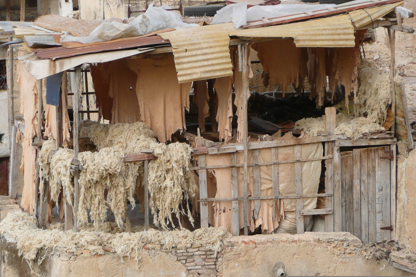 รูปถ่าย โมร็อกโก(Morocco) เฟส(Fes) เมดินาเฟส(Fes Medina) 2008-07 1