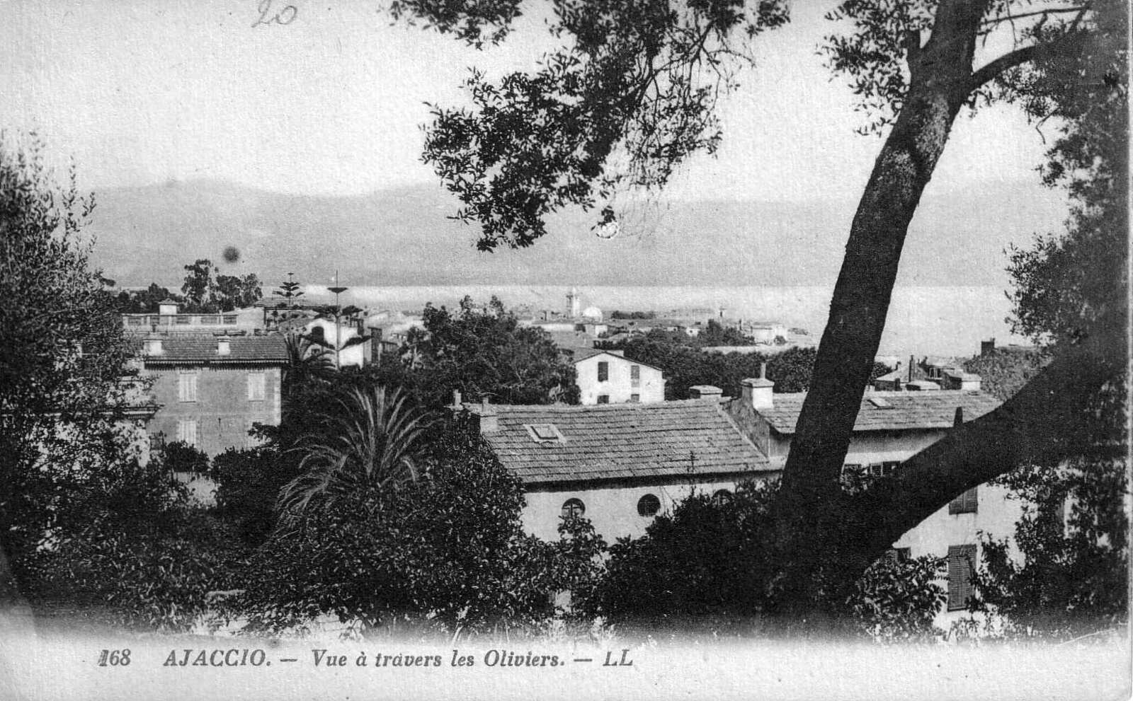 รูปถ่าย ฝรั่งเศส(France) คอร์สิคา(Corsica) โปสการ์ดเก่า(Old Postcards) 1900-01 337