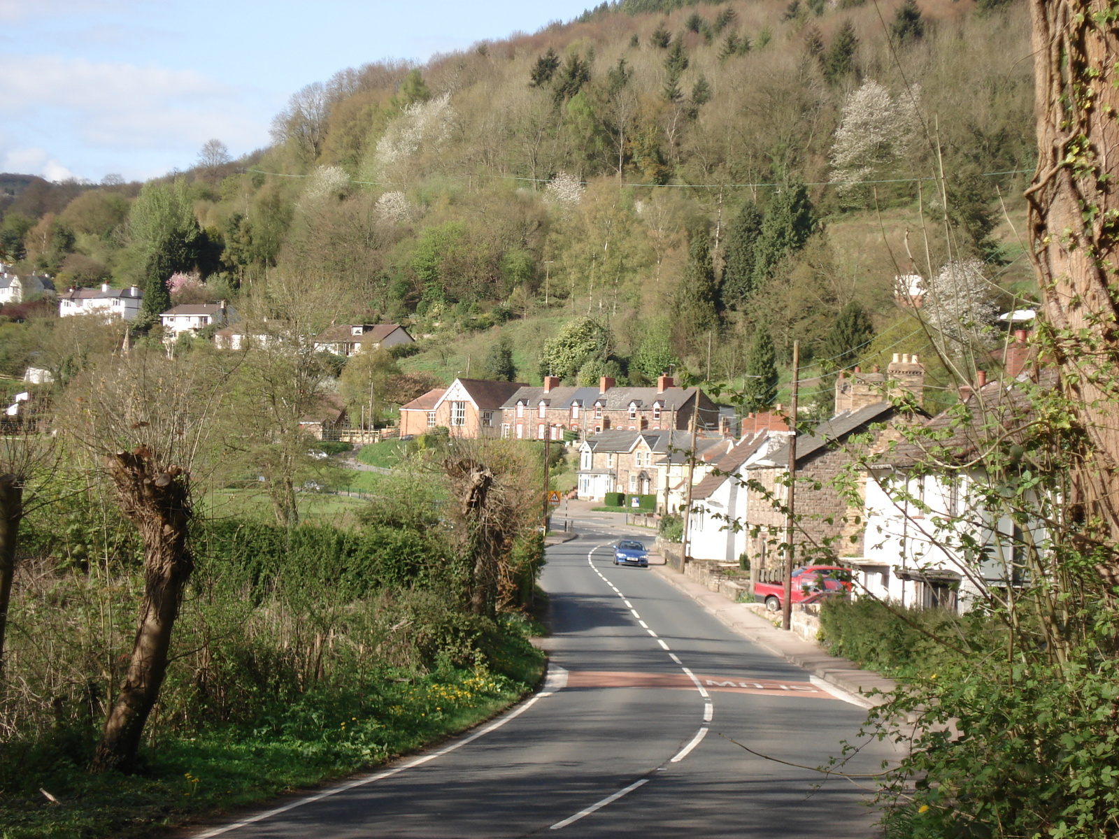 รูปถ่าย อังกฤษ(United Kingdom) หุบเขาไวย์(Wye Valley) 2006-05 26