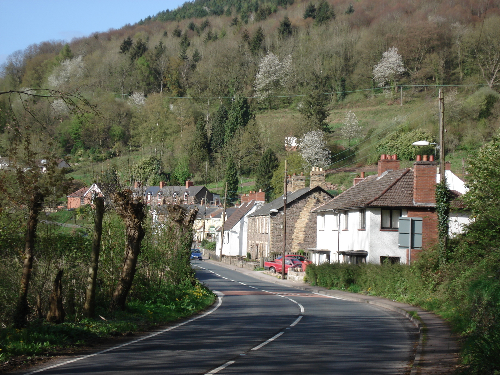 รูปถ่าย อังกฤษ(United Kingdom) หุบเขาไวย์(Wye Valley) 2006-05 23