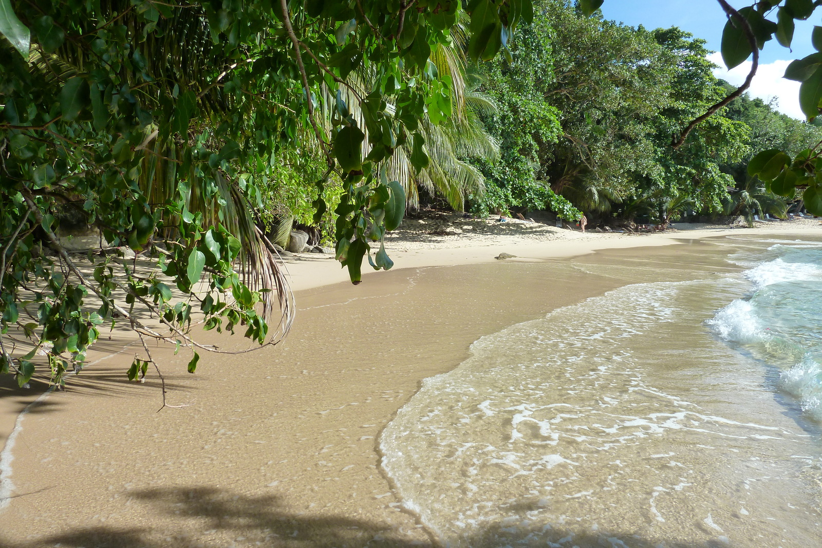 รูปถ่าย เซเชลส์(Seychelles) เกาะมาเฮ(Mahe) 2011-10 239