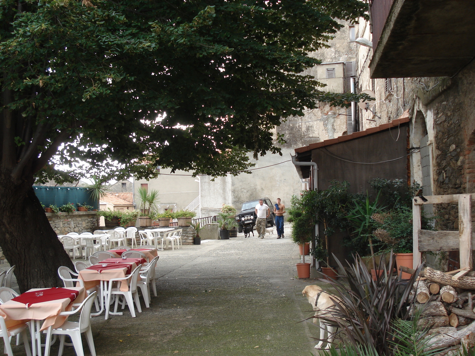 รูปถ่าย ฝรั่งเศส(France) คอร์สิคา(Corsica) เชร์วีออน(Cervione) 2006-09 25