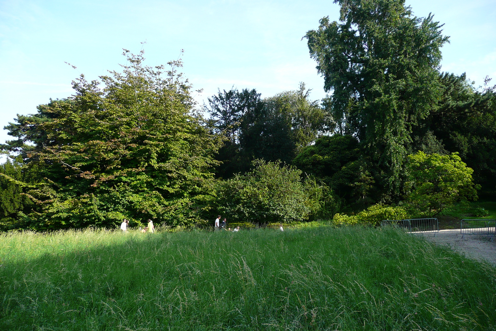 รูปถ่าย ฝรั่งเศส(France) ปารีส(Paris) สวนพันธ์ุพืช(Jardin des Plantes) 2007-08 92
