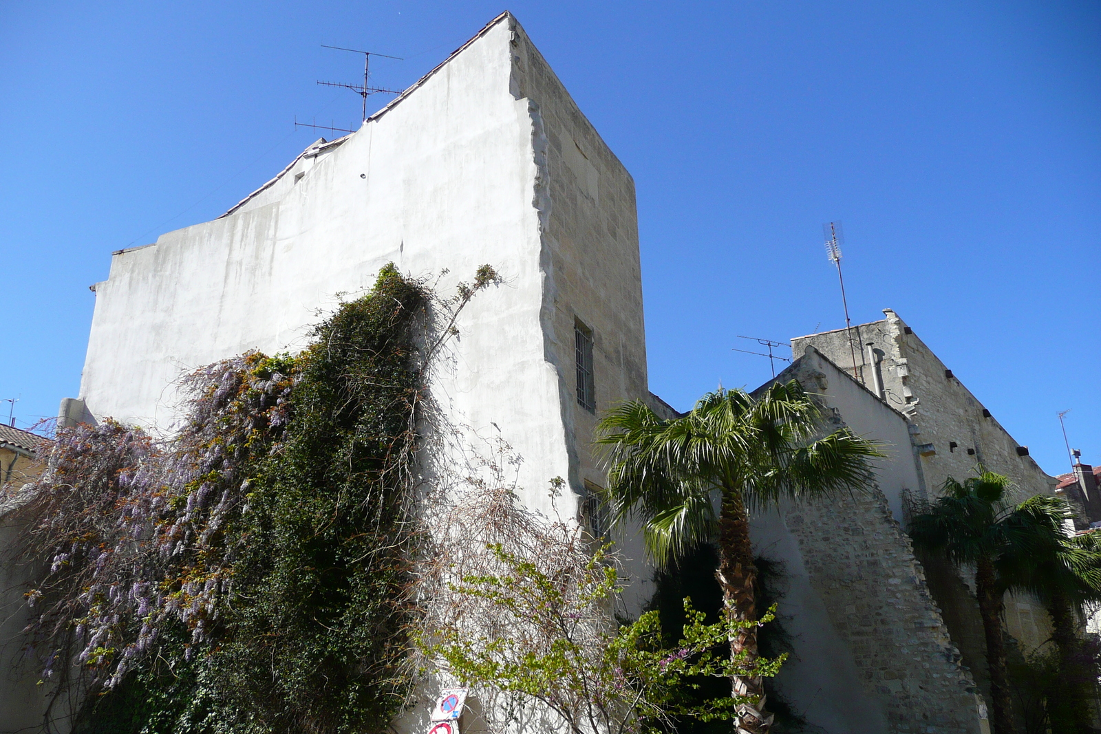 รูปถ่าย ฝรั่งเศส(France) ตาราสกง(Tarascon) 2008-04 85