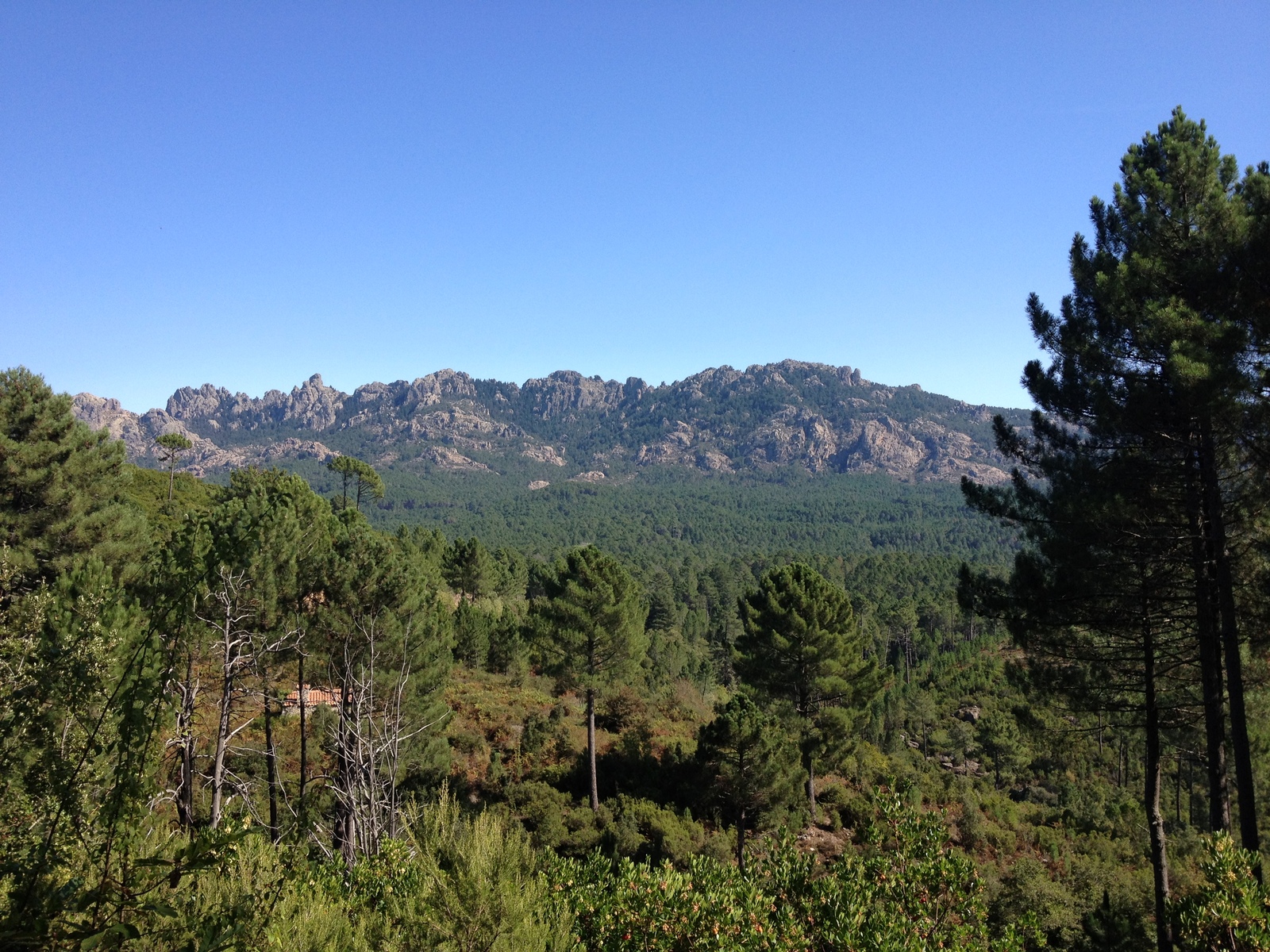 รูปถ่าย ฝรั่งเศส(France) คอร์สิคา(Corsica) ซอนซา(Zonza) 2012-09 2