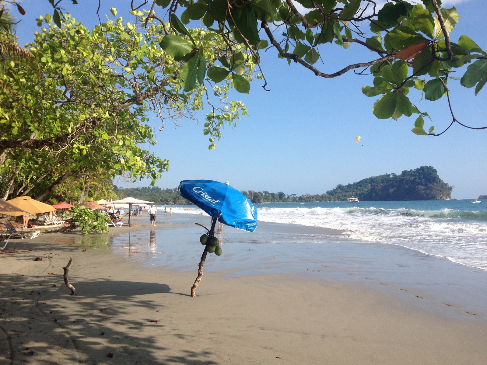 รูปถ่าย คอสตาริกา(Costa Rica) 2015-03 2