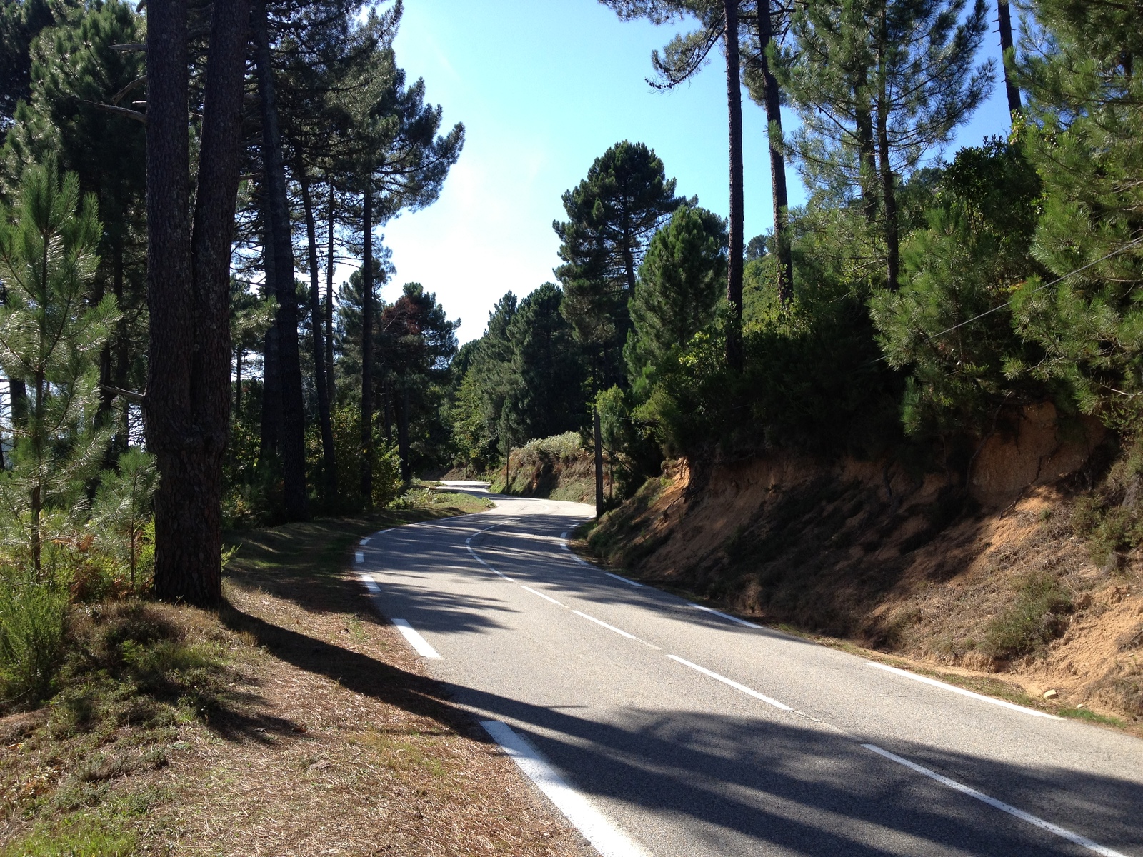 รูปถ่าย ฝรั่งเศส(France) คอร์สิคา(Corsica) ซอนซา(Zonza) 2012-09 0