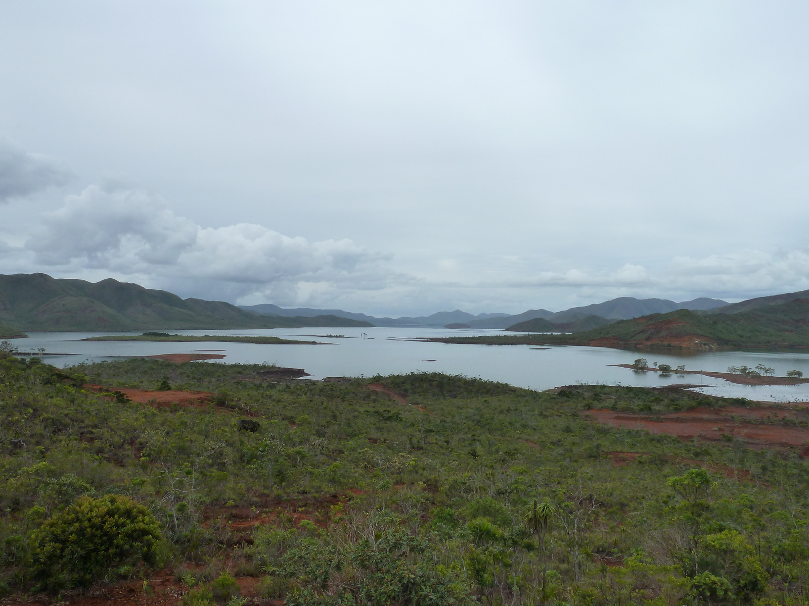 รูปถ่าย นิวแคลิโดเนีย(New Caledonia) อุทยานริเวียร์เบลอ(Parc de la Riviere Bleue) 2010-05 123