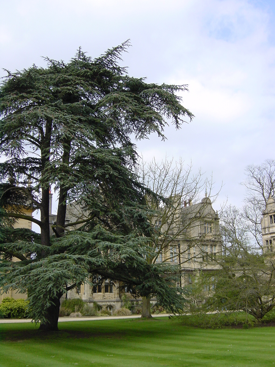 รูปถ่าย อังกฤษ(United Kingdom) อ็อกฟอร์ด(Oxford) 2001-04 32