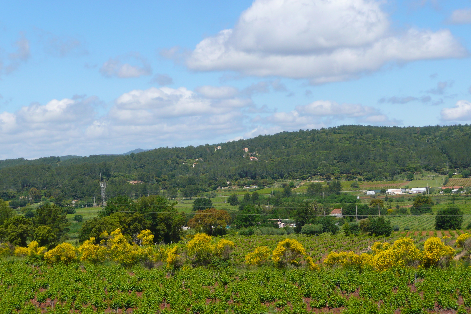รูปถ่าย ฝรั่งเศส(France) เฟรนช์ริวิเอรา(French Riviera) ทางหลวง A57(A57 highway) 2008-05 5
