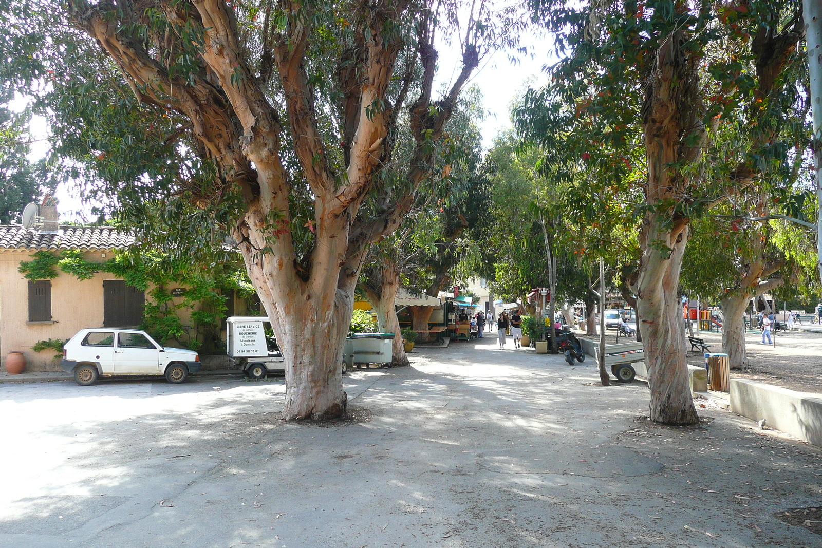 รูปถ่าย ฝรั่งเศส(France) เกาะปอร์เกอรอล(Porquerolles Island) ปอร์เกอรอล(Porquerolles) 2008-05 39