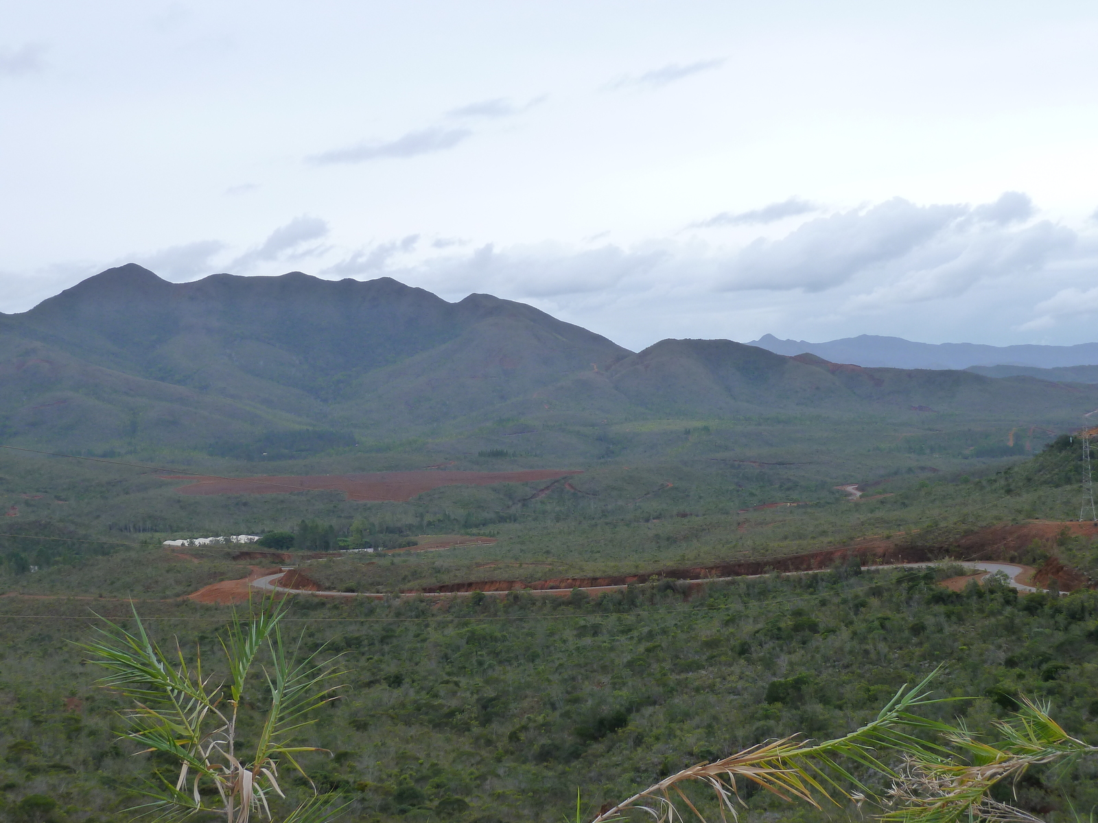 รูปถ่าย นิวแคลิโดเนีย(New Caledonia) อุทยานริเวียร์เบลอ(Parc de la Riviere Bleue) 2010-05 62