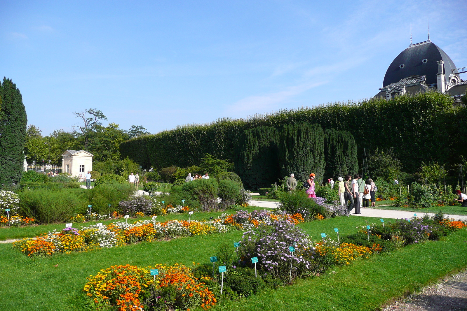รูปถ่าย ฝรั่งเศส(France) ปารีส(Paris) สวนพันธ์ุพืช(Jardin des Plantes) 2007-08 183