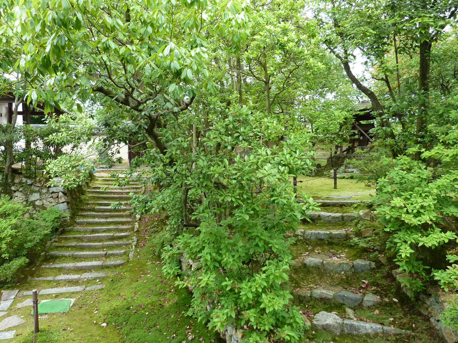 รูปถ่าย ญี่ปุ่น(Japan) เกียวโต(Kyoto) ตำหนักหลวงวัดนินนะจิ(Ninna ji imperial Residence) 2010-06 27