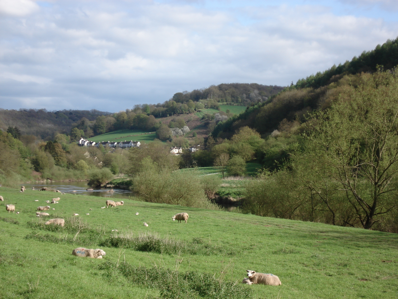 รูปถ่าย อังกฤษ(United Kingdom) หุบเขาไวย์(Wye Valley) 2006-05 0