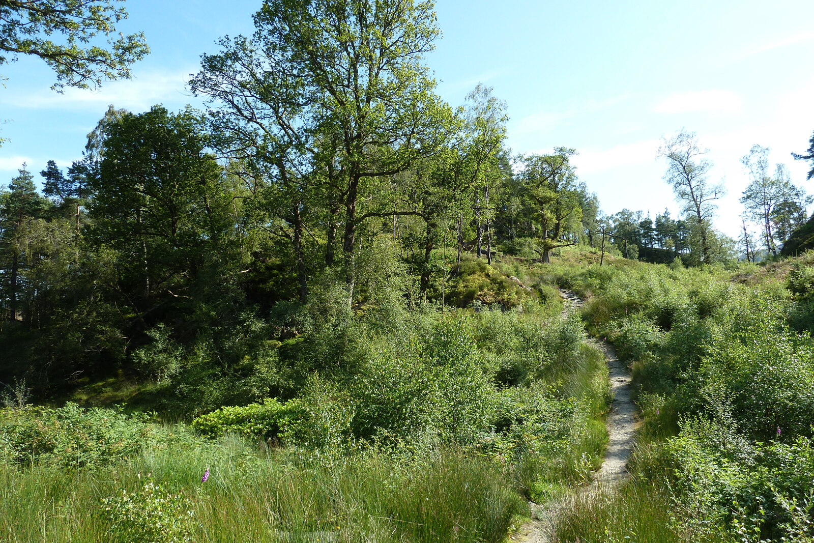 รูปถ่าย อังกฤษ(United Kingdom) ทรอสซักส์(The Trossachs) 2011-07 57