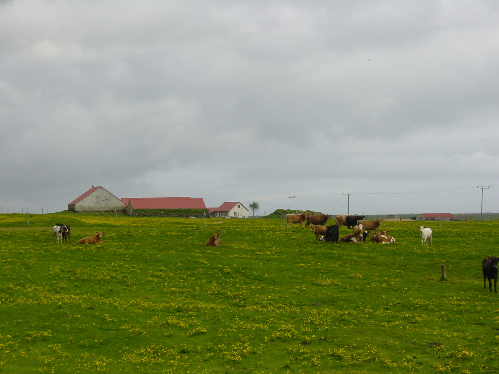 รูปถ่าย ไอซ์แลนด์(Iceland) ถนนหมายเลข 1 จากวีกไปสกาฟตาเฟลล์(Road 1 Vik to Skaftafell) 2003-06 2
