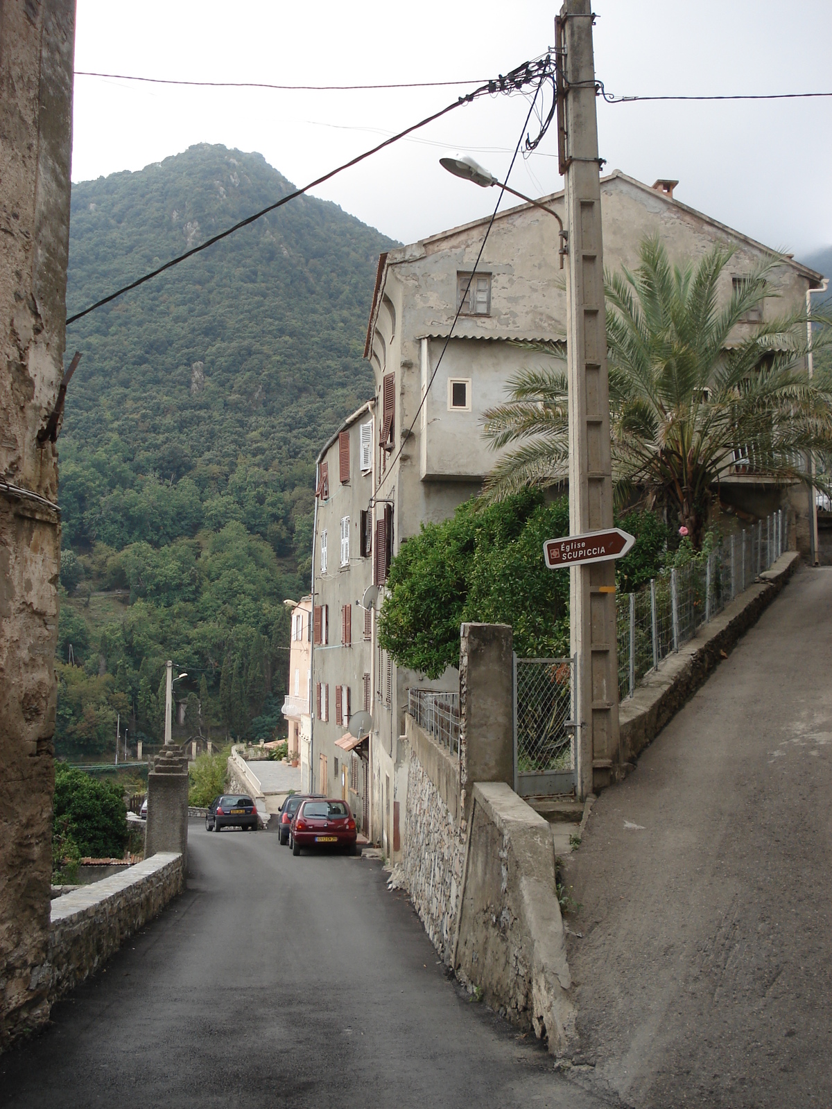 รูปถ่าย ฝรั่งเศส(France) คอร์สิคา(Corsica) เชร์วีออน(Cervione) 2006-09 13