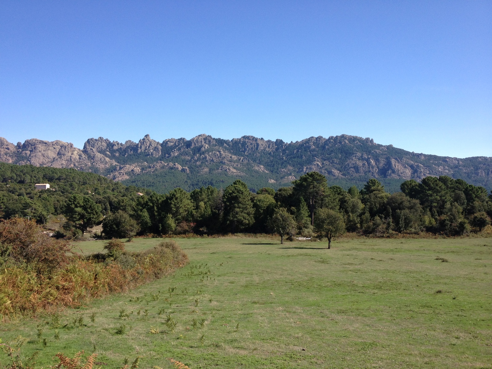 รูปถ่าย ฝรั่งเศส(France) คอร์สิคา(Corsica) ซอนซา(Zonza) 2012-09 10