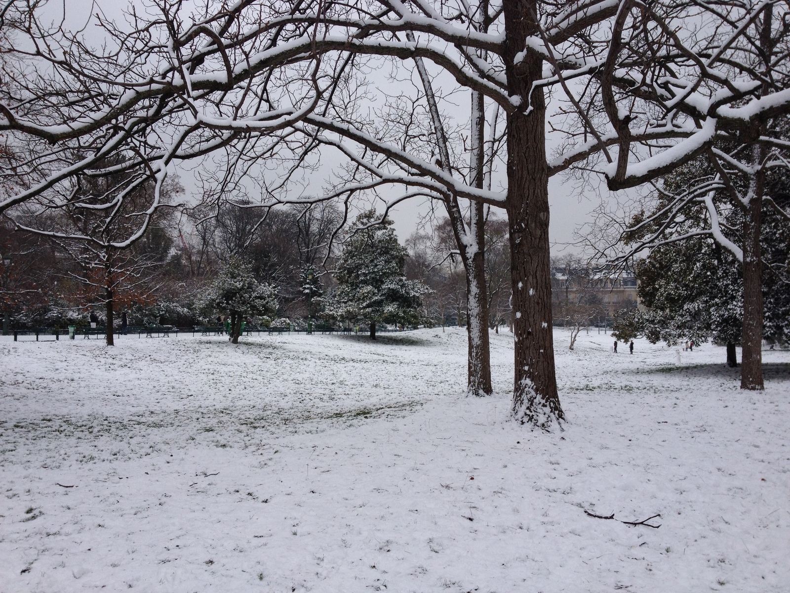รูปถ่าย ฝรั่งเศส(France) ปารีส(Paris) สวนมงโซ(Monceau Garden) 2013-01 9
