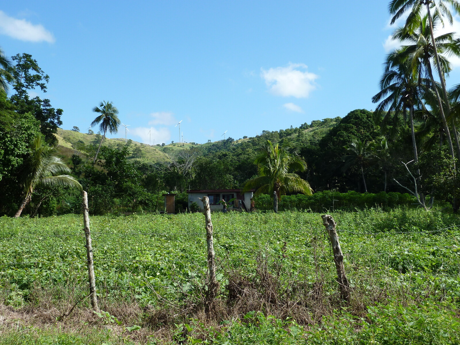 รูปถ่าย ฟิจิ(Fiji) แม่น้ำซิงกาโตกา(Sigatoka river) 2010-05 81