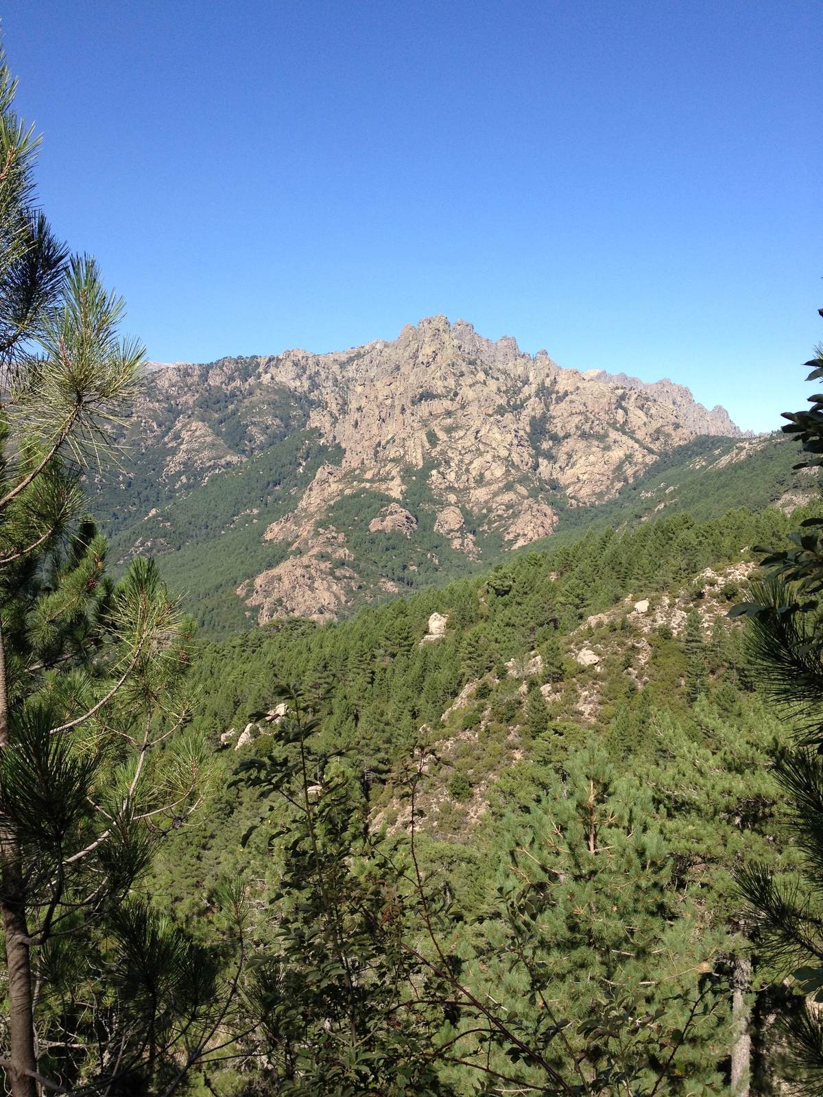 รูปถ่าย ฝรั่งเศส(France) คอร์สิคา(Corsica) บาแวลลา(Bavella) 2012-09 50