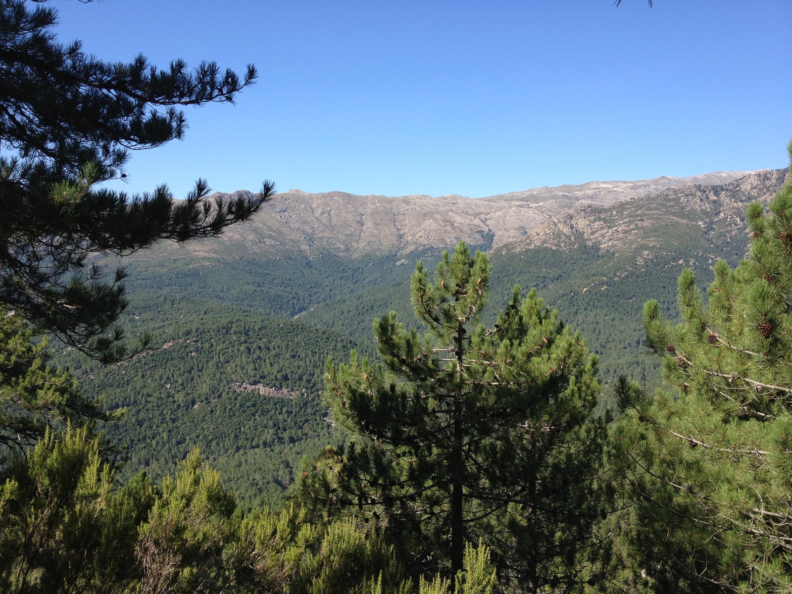 รูปถ่าย ฝรั่งเศส(France) คอร์สิคา(Corsica) บาแวลลา(Bavella) 2012-09 51