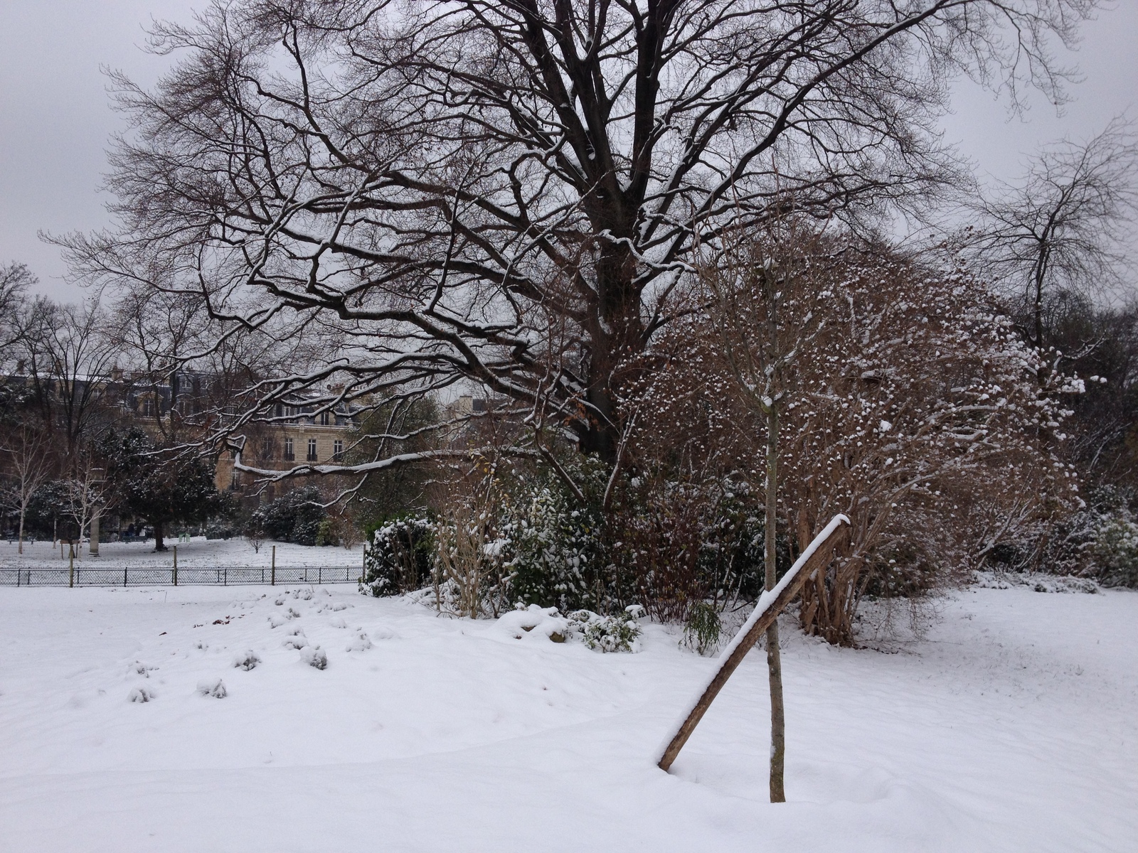 รูปถ่าย ฝรั่งเศส(France) ปารีส(Paris) สวนมงโซ(Monceau Garden) 2013-01 4