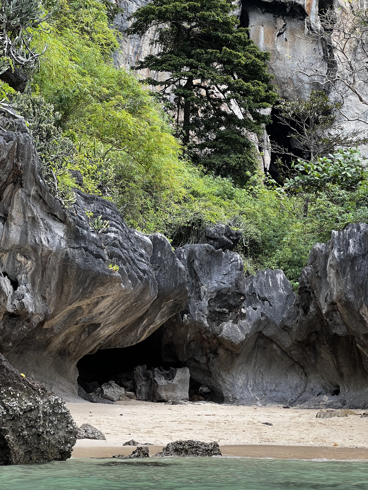 รูปถ่าย ไทย(Thailand) กระบี่(Krabi) 2023-01 24
