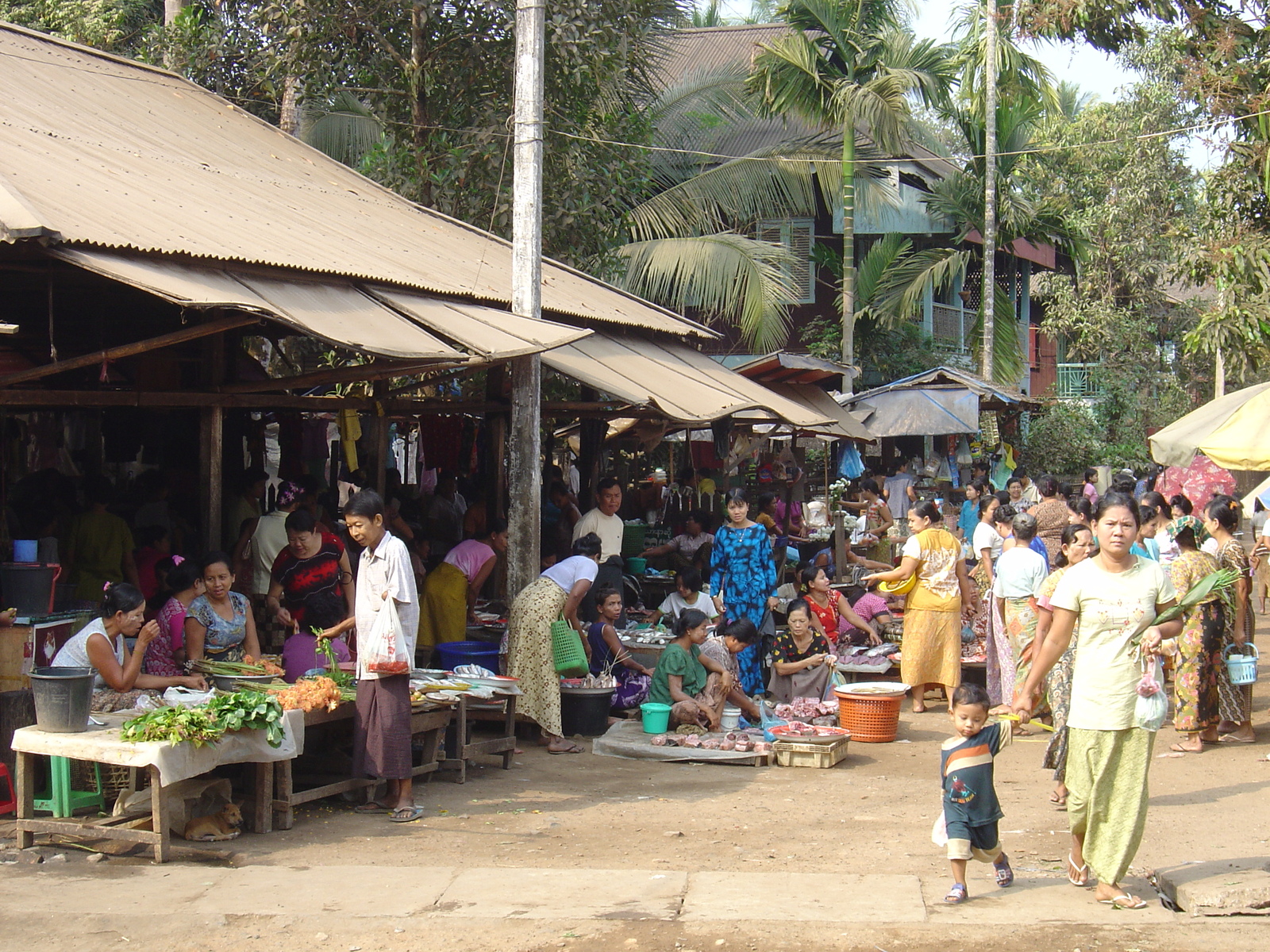รูปถ่าย พม่า(Myanmar) ทวาย(Dawei (TAVOY)) 2005-01 170