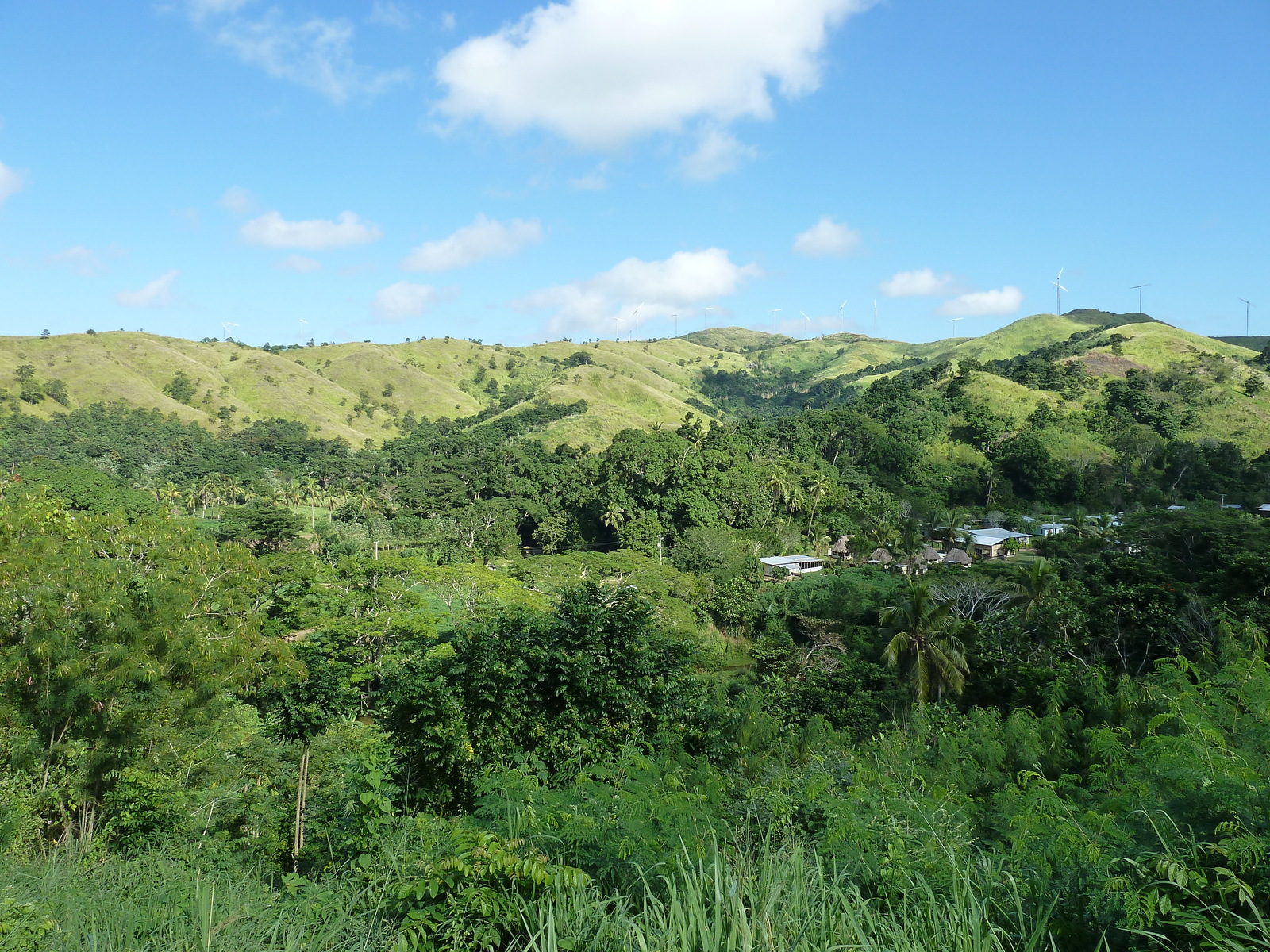 รูปถ่าย ฟิจิ(Fiji) แม่น้ำซิงกาโตกา(Sigatoka river) 2010-05 12