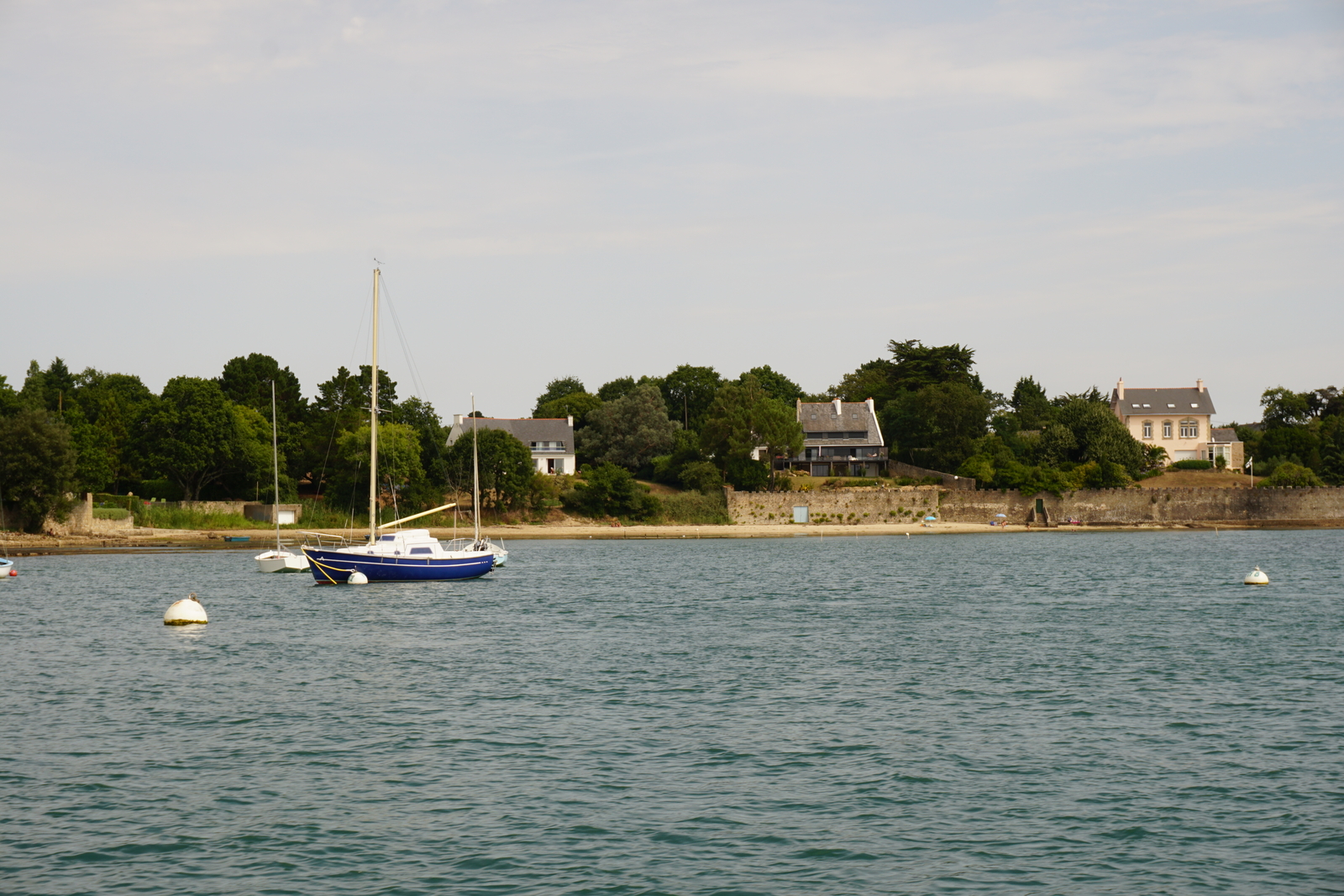 รูปถ่าย ฝรั่งเศส(France) อ่าวมอร์บีอ็อง(Golfe du Morbihan) 2016-08 52