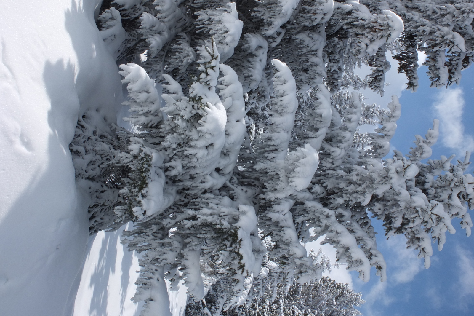 รูปถ่าย ฝรั่งเศส(France) เลทรัววาเล(Les 3 Vallees) 2013-03 175