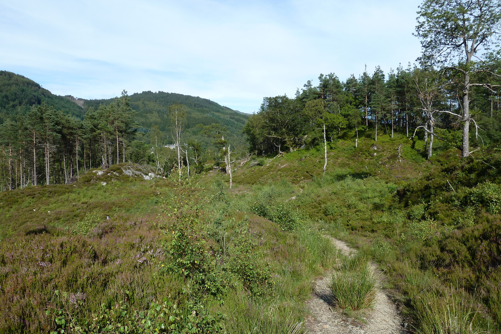รูปถ่าย อังกฤษ(United Kingdom) ทรอสซักส์(The Trossachs) 2011-07 93