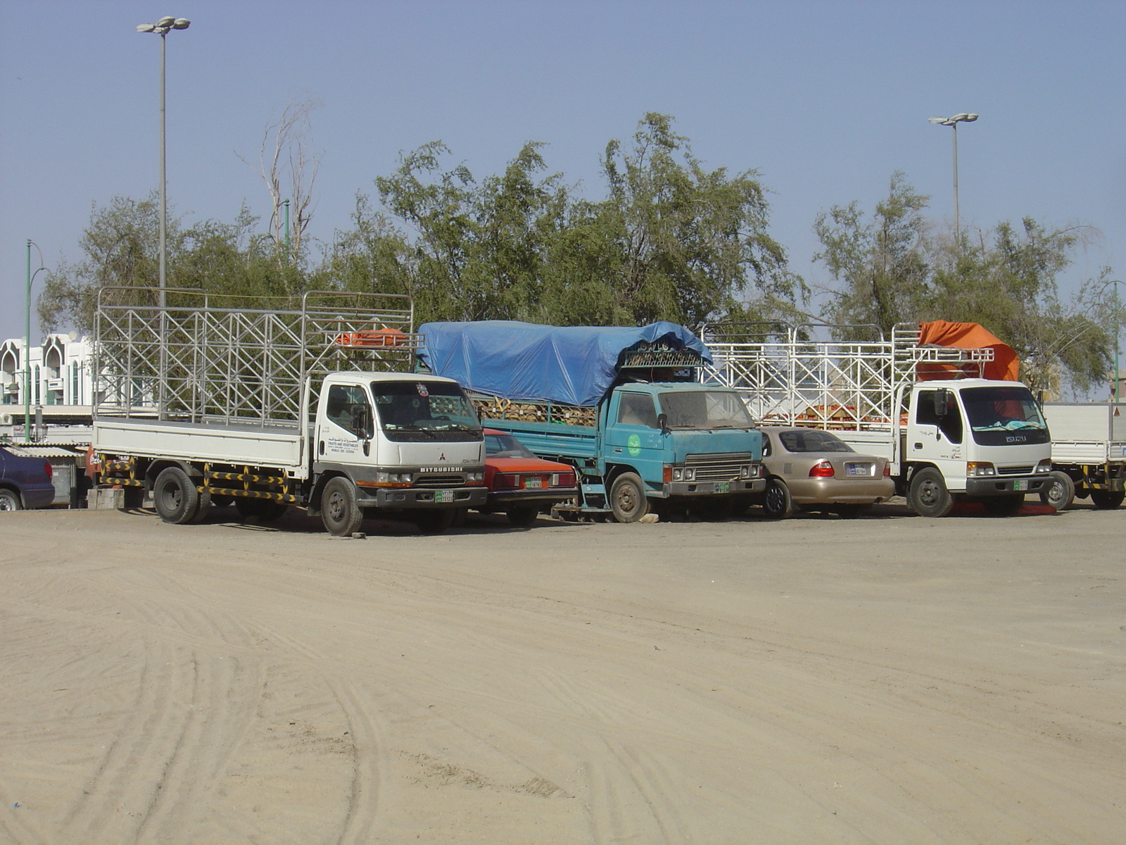 รูปถ่าย สหรัฐอาหรับเอมิเรตส์(United Arab Emirates) อาเลอิน(Al Ain) 2005-03 34