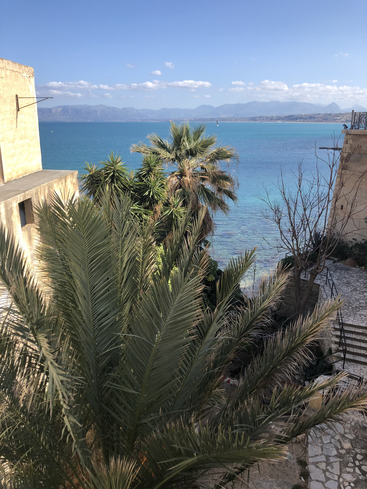 รูปถ่าย อิตาลี(Italy) ซิซิลี(Sicily) กัสเตลลัมมาเรเดลโกลโฟ(Castellammare del Golfo) 2020-02 28