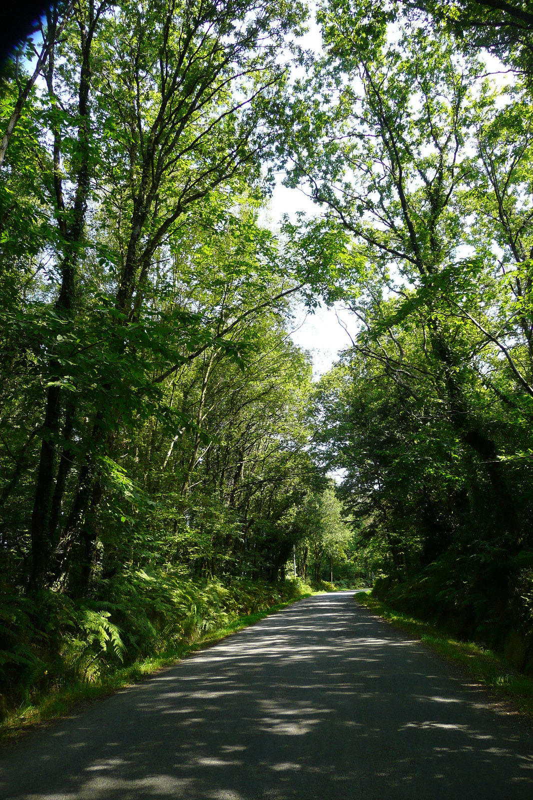 รูปถ่าย ฝรั่งเศส(France) ถนนในบริตตานี(Brittany roads) 2007-08 43