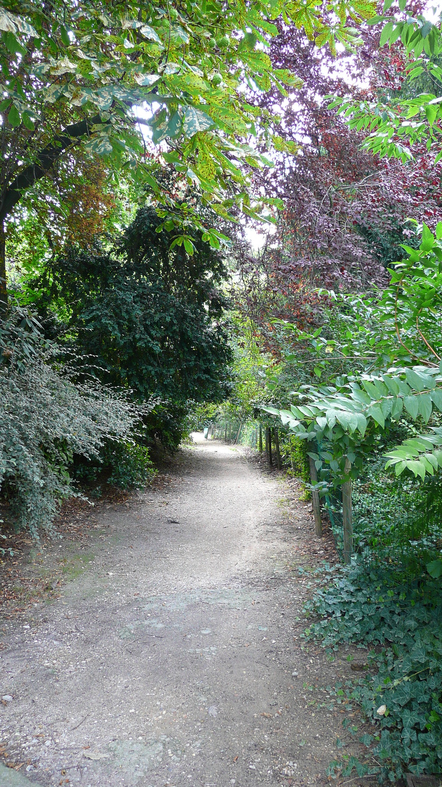 รูปถ่าย ฝรั่งเศส(France) ปารีส(Paris) สวนบุต-โชมง(Parc des Buttes Chaumont) 2007-08 9