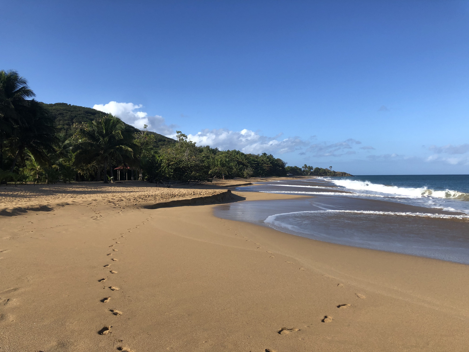 รูปถ่าย กวาเดอลูป(Guadeloupe) หาดลาแปร์ล(La Perle Beach) 2021-02 8