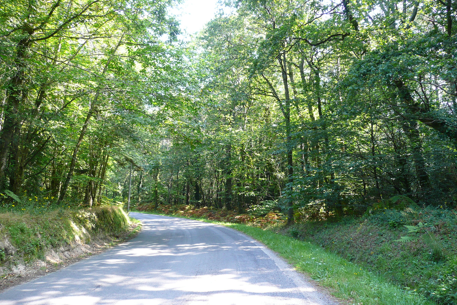 รูปถ่าย ฝรั่งเศส(France) ถนนในบริตตานี(Brittany roads) 2007-08 50