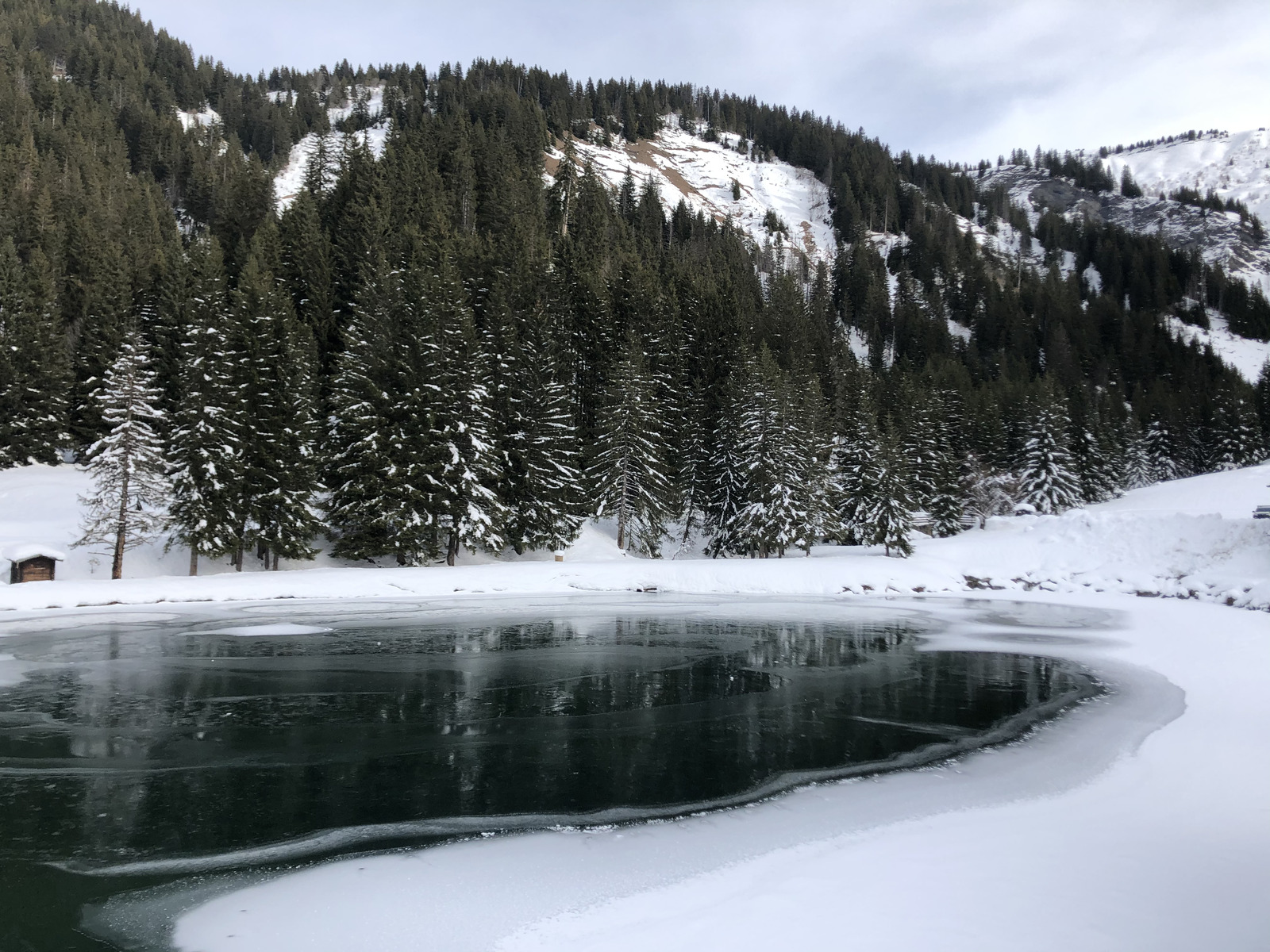 รูปถ่าย ฝรั่งเศส(France) ปรา-ซูร์-อาร์ลี(Praz sur Arly) 2019-12 36