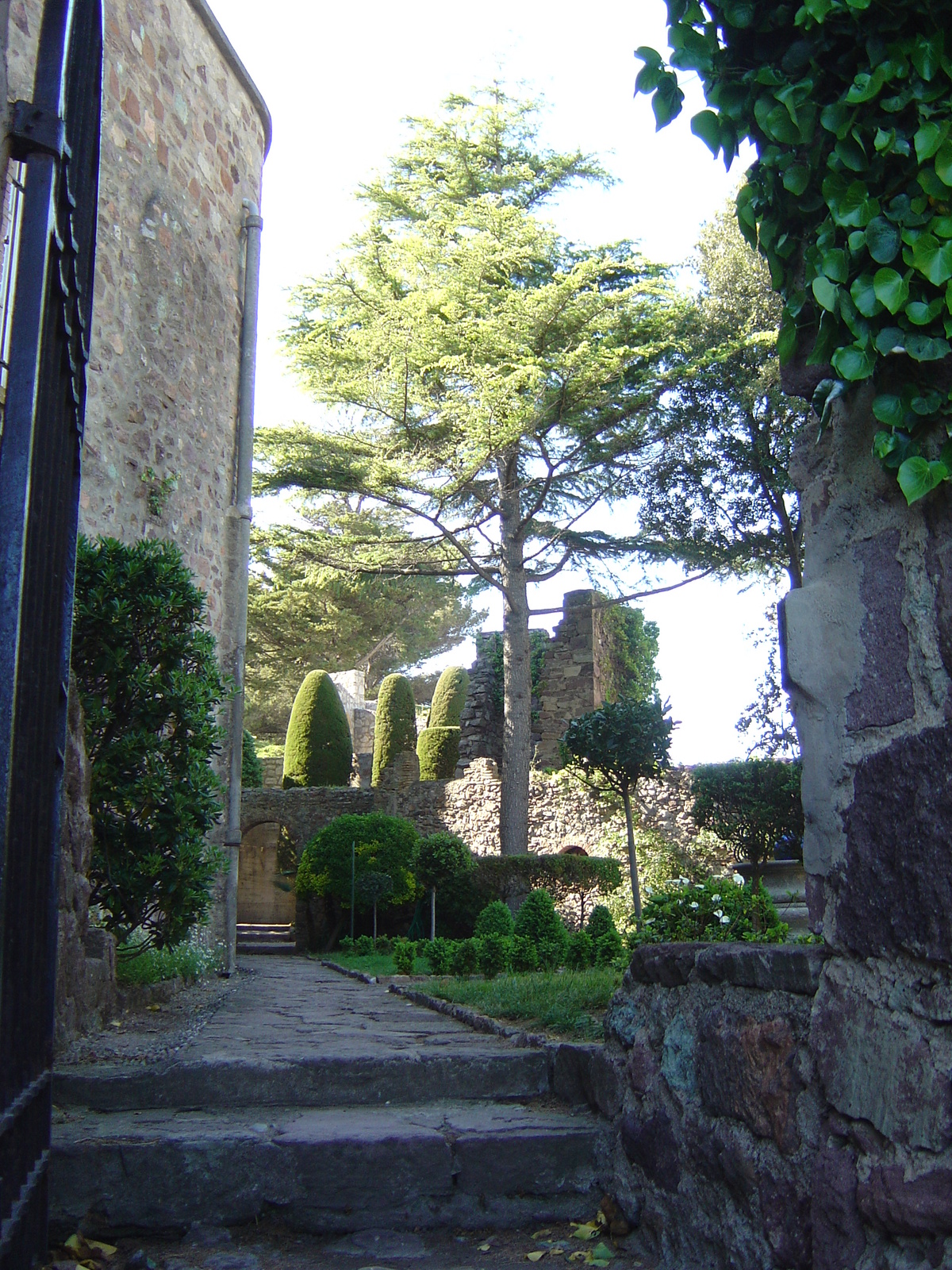 รูปถ่าย ฝรั่งเศส(France) ลานาปูล(La Napoule) 2005-05 0