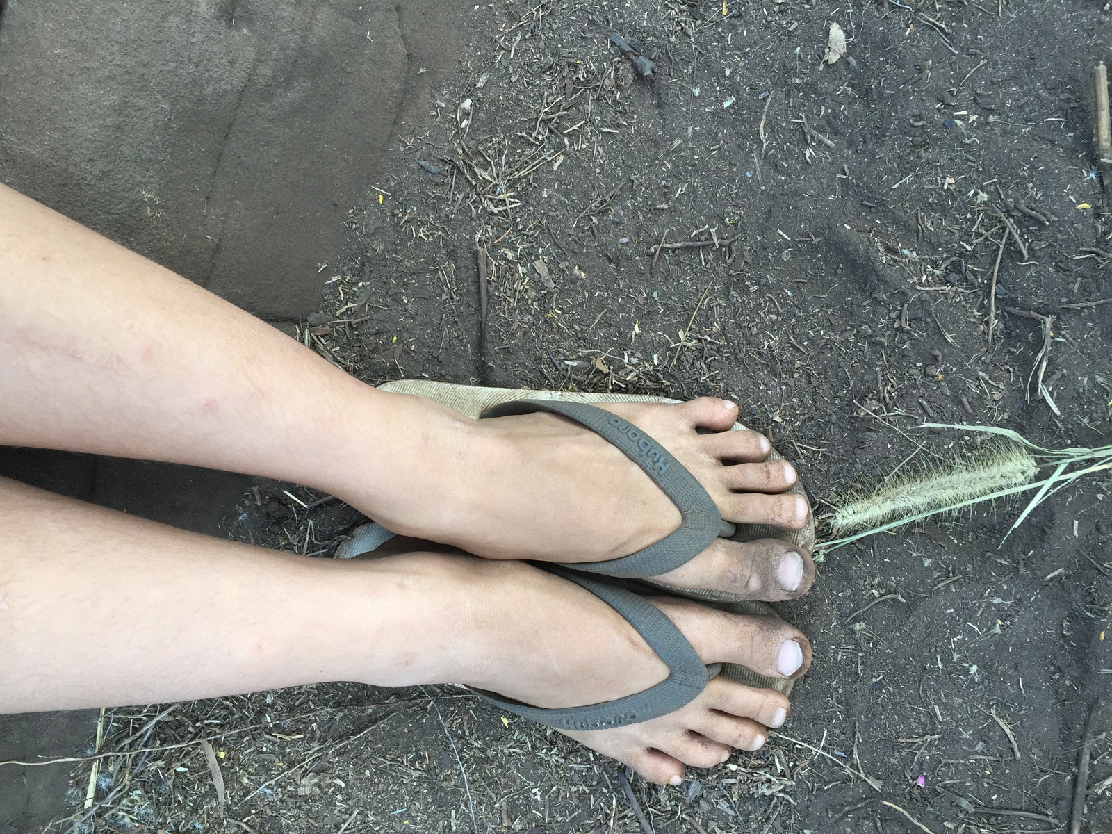 รูปถ่าย ไทย(Thailand) อุทยานแห่งชาติภูหินร่องกล้า(Phu Hin Rong Kla National Park) 2014-12 377