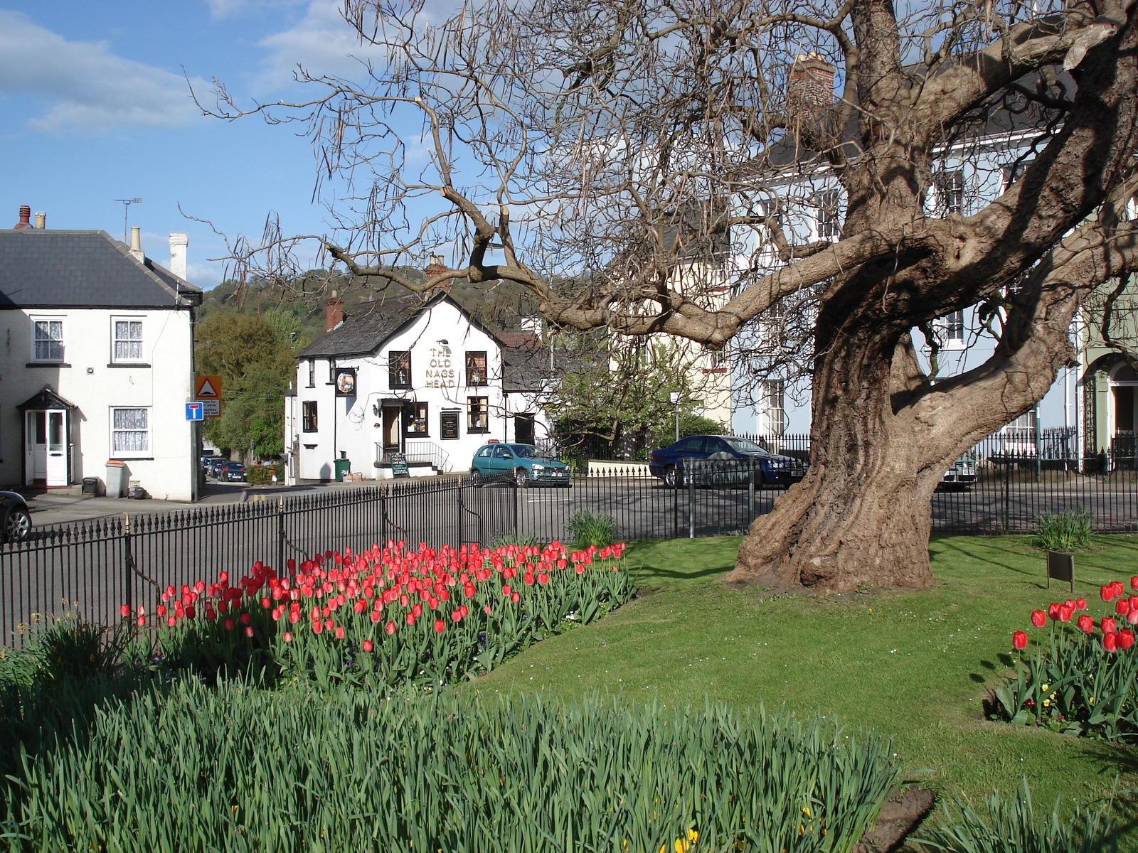 รูปถ่าย อังกฤษ(United Kingdom) มอนเมาธ์(Monmouth) 2006-05 44